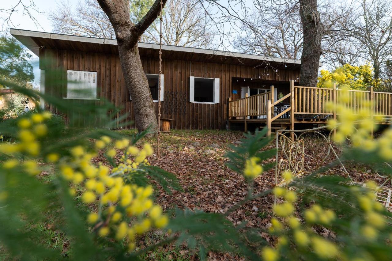 La Petite Maison Du Lac Biscarrosse Exterior photo